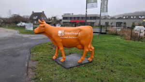 Glasvezel met GlasDraad